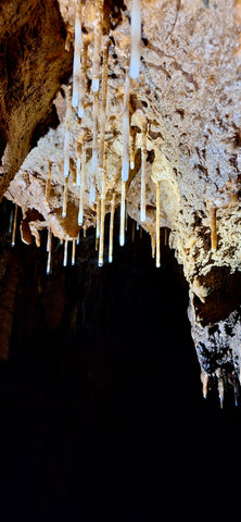 Exploration de la grotte Chaâra & randonnée à la rivière Bou Khaled