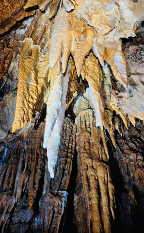 Exploration de la grotte Chaâra & randonnée à la rivière Bou Khaled