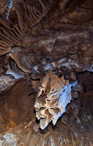 Exploration de la grotte Chaâra & randonnée à la rivière Bou Khaled