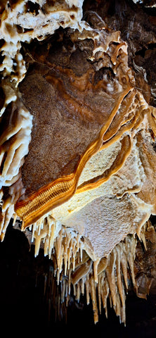 Exploration de la grotte Chaâra & randonnée à la rivière Bou Khaled