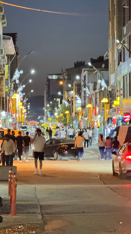 Expédition au Mont ARARAT (5137 m) – TURQUIE ( 7 jours / 6 nuits ) - $1050.00 USD