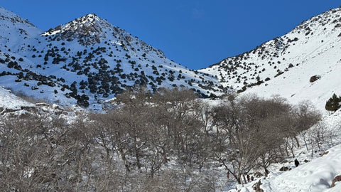 Tasghimoute Plateau - Imlil - Aguersioual - Mountain biking 
