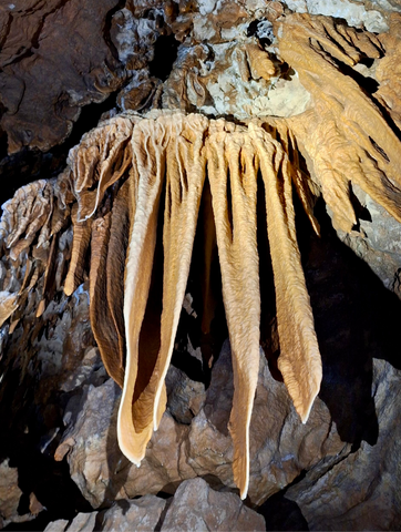 Exploration de la grotte Chaâra & randonnée à la rivière Bou Khaled