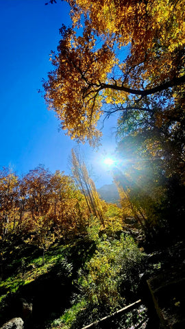 Plateau  Tasghimoute -  Imlil - Aguersioual - VTT