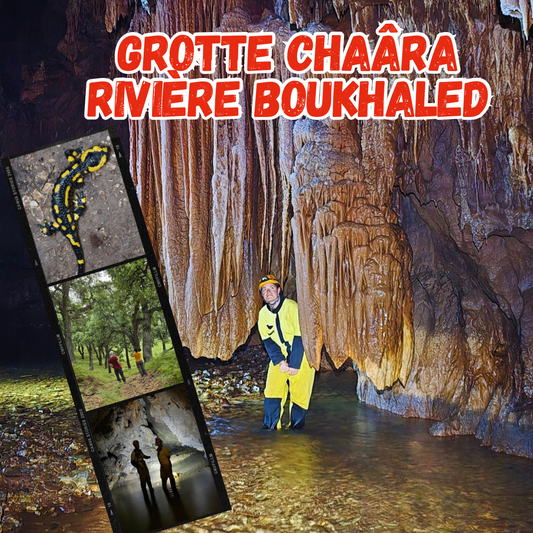 Exploration de la grotte Chaâra & randonnée à la rivière Bou Khaled