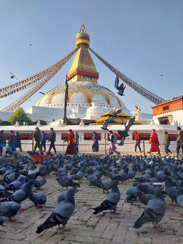 Expédition à l’Everest Base Camp – Népal ( 15 jours / 14 nuits ) $2,550.00 USD