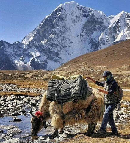 Expédition à l’Everest Base Camp – Népal ( 15 jours / 14 nuits ) $2,550.00 USD