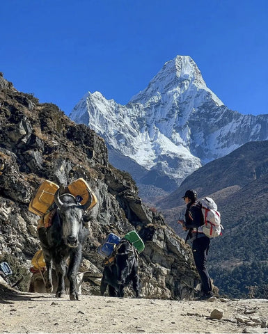 Expédition à l’Everest Base Camp – Népal ( 15 jours / 14 nuits ) $2,550.00 USD