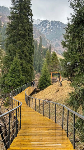 Expédition à Kazakhstan - Mont Astana (4 451m) ( 13 jours / 12 nuits ) - $3,150.00 USD