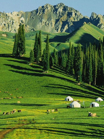 Expédition à Kazakhstan - Mont Astana (4 451m) ( 13 jours / 12 nuits ) - $3,150.00 USD