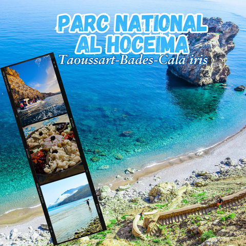 El Houceima Park ~ July 4, 2025 