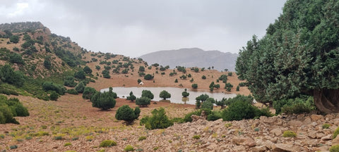 Azib Tafenfant & Ait Bouguemaz Valley