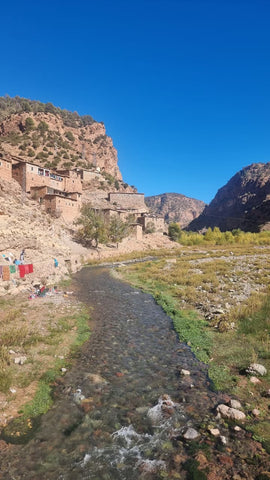 Vallée de Tassaout - Sommet IFOULOU (2170 m) - Village de Megdaz